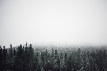 Unsplash ID ZKJigcshSBM