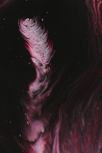 Unsplash ID ZLBTWdiNJaY