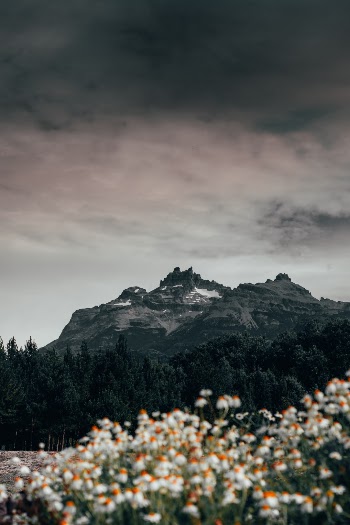 Unsplash ID ZMHFKIr_QWY