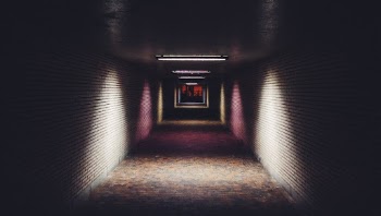 Unsplash ID zmNYGdiL8pk