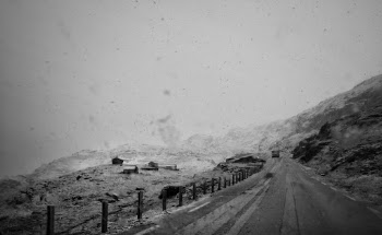 Unsplash ID zMp44UPlT64