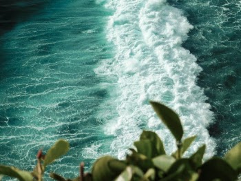 Unsplash ID ZmQh4ojSA-k