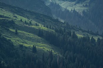 Unsplash ID ZMqZ5u23l6U