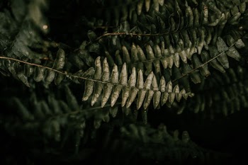 Unsplash ID zof6TAxxano
