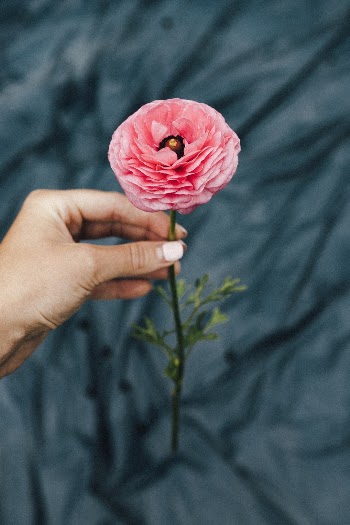 Unsplash ID zPwDau8xvl8