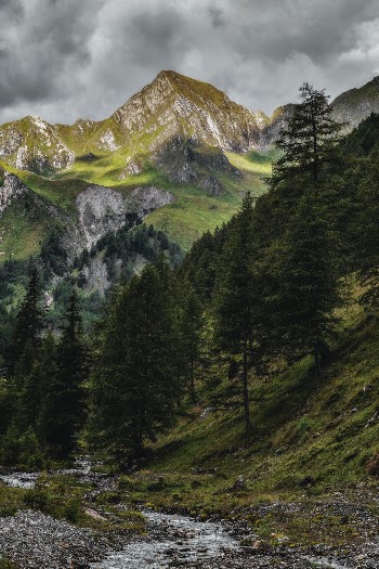Unsplash ID zsycgU6B30s