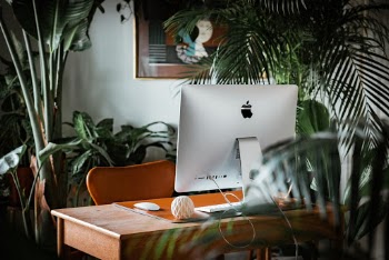 Unsplash ID ZtD4DdClWGI