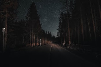 Unsplash ID Zu6wtAvLWgE