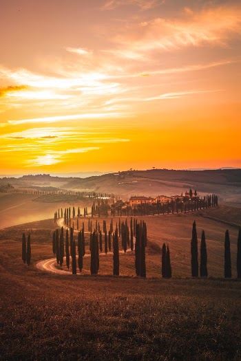 Unsplash ID ZuuNfOIXQzM