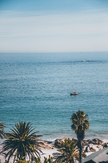 Unsplash ID zvcF4fvjChA