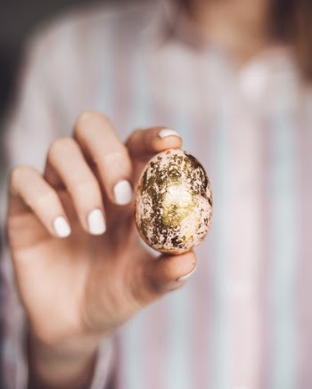 Unsplash ID ZVFylXjvK0E