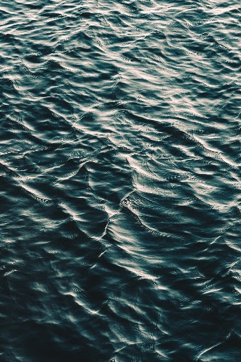 Unsplash ID ZxGdri2EWzk