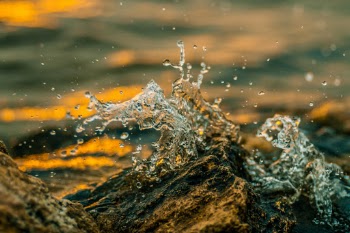 Unsplash ID zXQbf1pyZpo