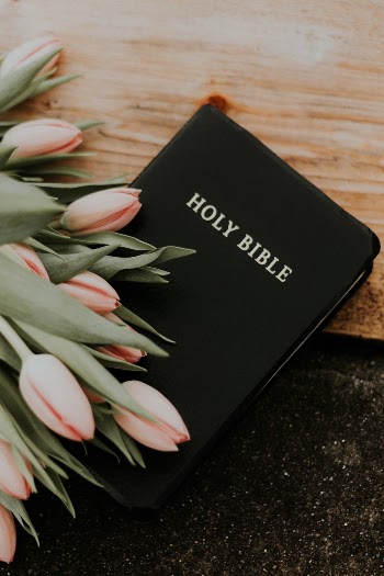 Unsplash ID zXsZHJC5qYw