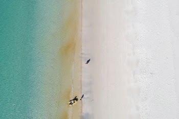Unsplash ID ZYmTKEs1GsA