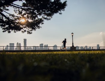 Unsplash ID ZZ9qfUynxHw