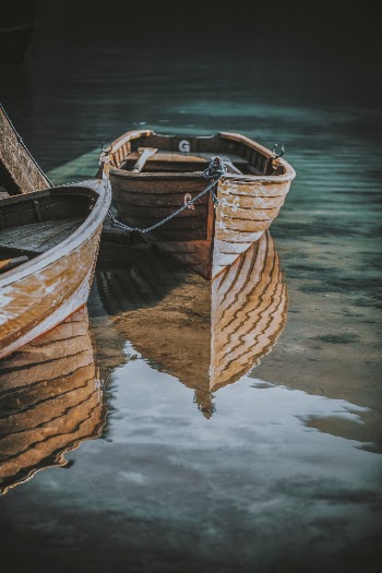 Unsplash ID zZihaBu89KY