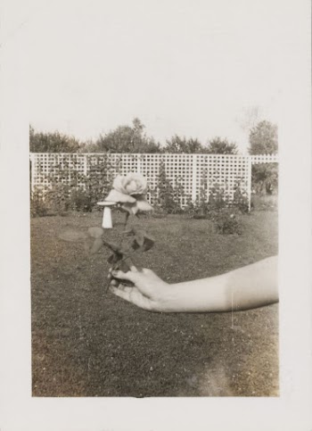 Untitled (Hand Holding a Flower) | Free Photo - rawpixel