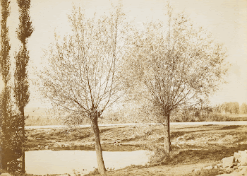 Untitled [landscape]. Original from the Minneapolis | Free Photo - rawpixel