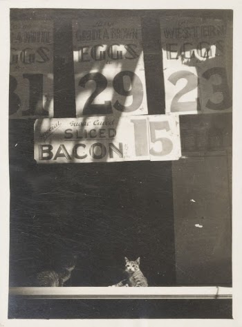 Untitled (Store Sign Above Two | Free Photo - rawpixel