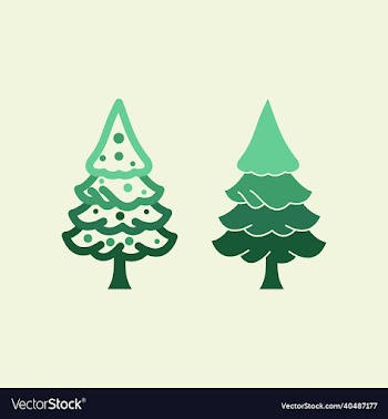 untitledpine spruce conifer coniferous christmas l