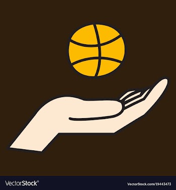 Unusual look dribbble social media icon social vector image
