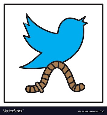 Unusual look tweet bird logotwitter icon vector image
