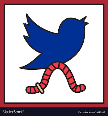 Unusual look tweet bird logotwitter icon vector image