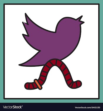 Unusual look tweet bird logotwitter icon vector image