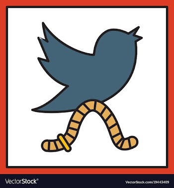 Unusual look tweet bird logotwitter icon vector image