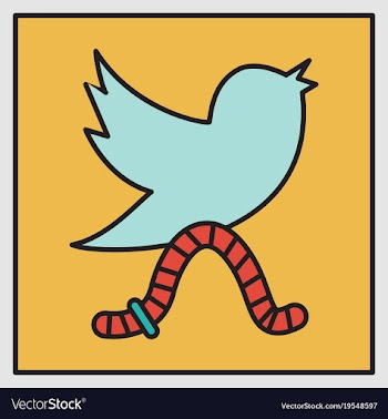 Unusual look tweet bird logotwitter icon vector image