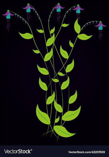 unusual plants with flowers bouquet