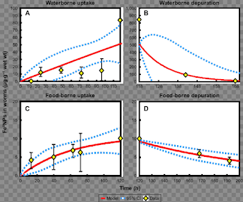 Uptake and depuration of (A, B) water-exposed and (C, D) food ...