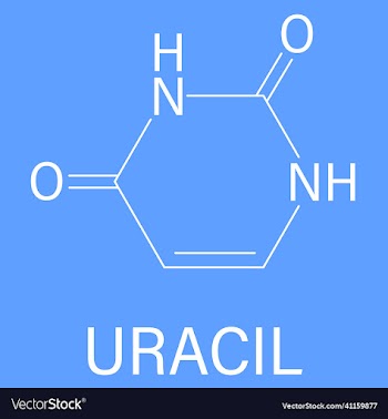 uracil nucleobase molecule skeletal formula