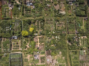 Urban Community Garden Aerial