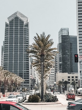 Urban Photo of  City Street