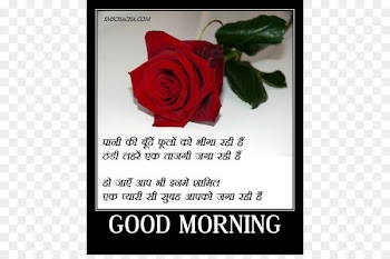 Urdu poetry Hindi Love Valentine's Day WhatsApp - Icon Good Morning Download 
