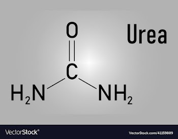 urea or carbamide molecule skeletal formula