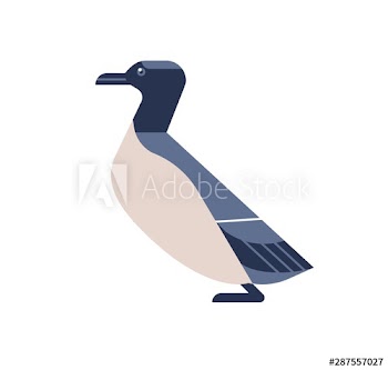 Uria flat vector illustration