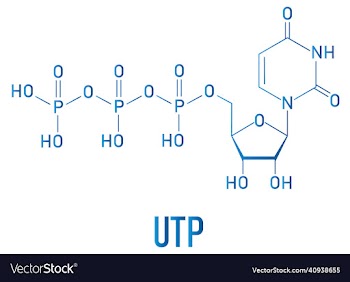uridine triphosphate or utp nucleotide molecule