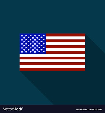 Usa flag image of usa flag usa flag background vector image