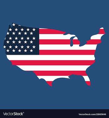 Usa map flag vector image