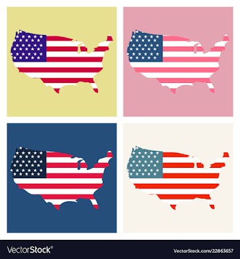 Usa map flag vector image