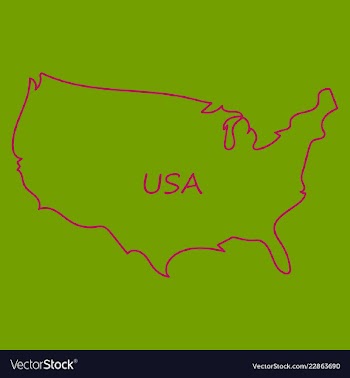 Usa map flag vector image