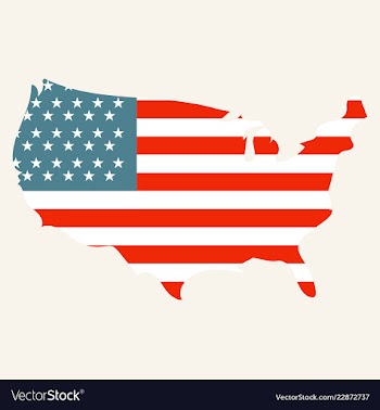 Usa map flag vector image