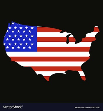 Usa map flag vector image