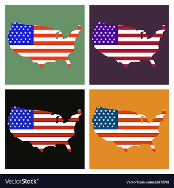 Usa map flag vector image