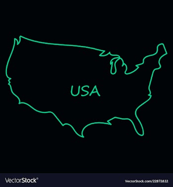 Usa map flag vector image