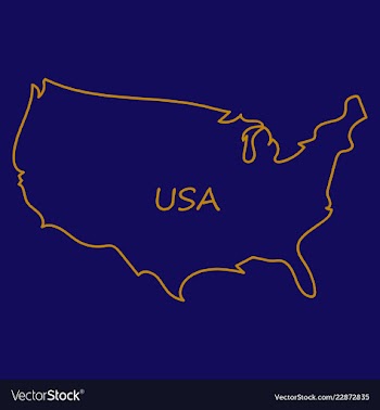 Usa map flag vector image