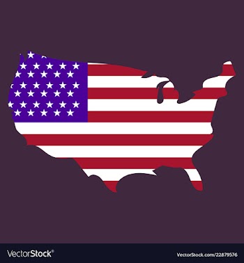 Usa map flag vector image